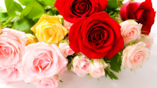 ピンクと赤の薔薇の花束 無料画像 フリー写真素材 Activephotostyle