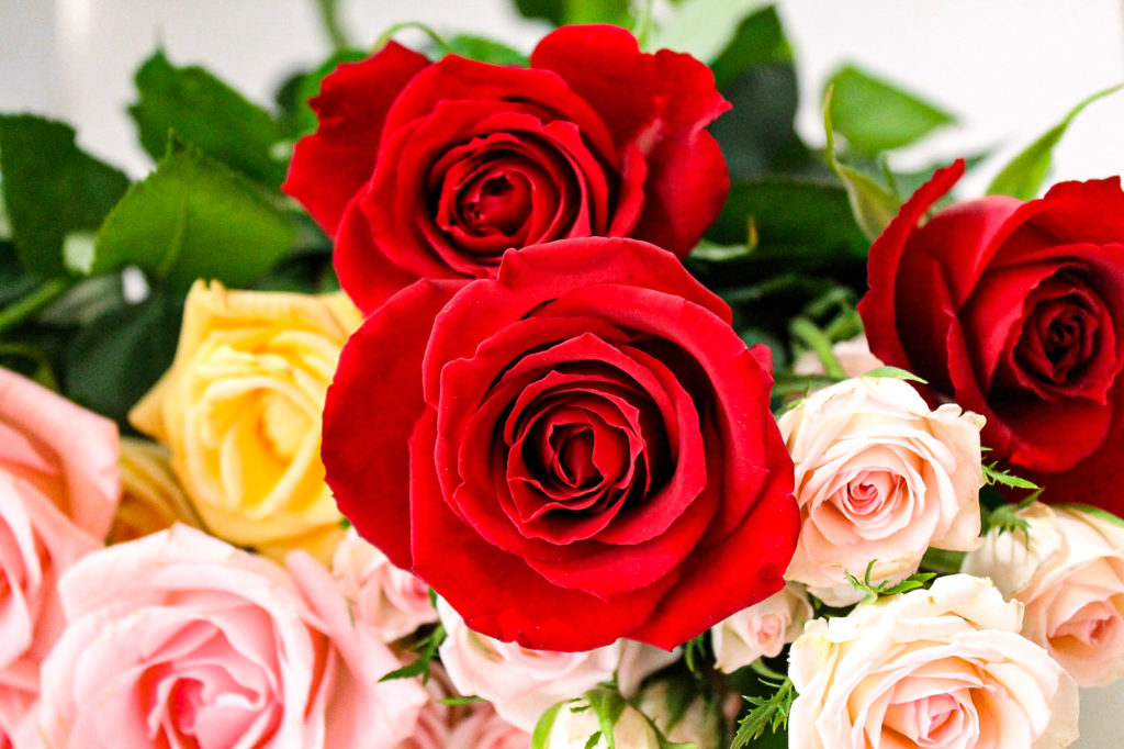 真っ赤な薔薇の花束 無料画像 フリー写真素材 Activephotostyle