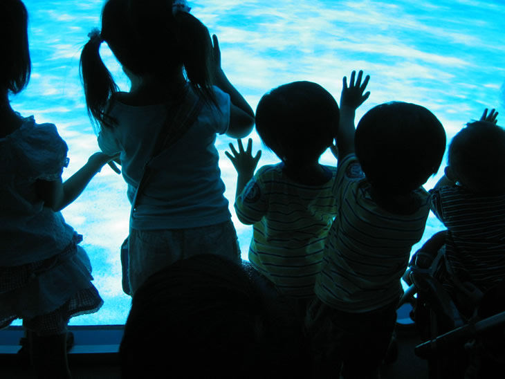 水族館の水槽を眺める子供たち
