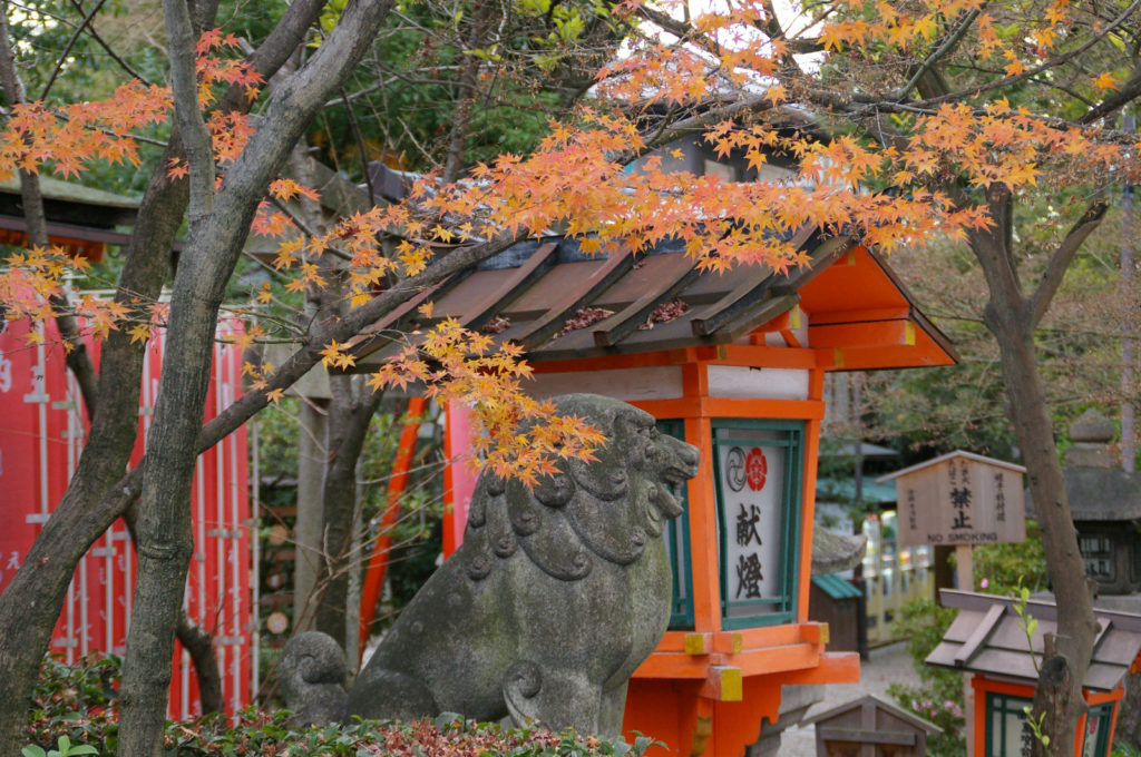 八坂神社 紅葉と灯篭