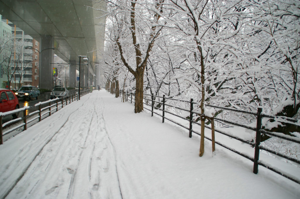 高架下の道路と脇の歩道に積もる雪