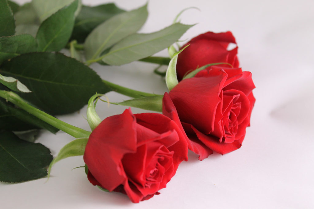 花束として赤い薔薇３本を包装