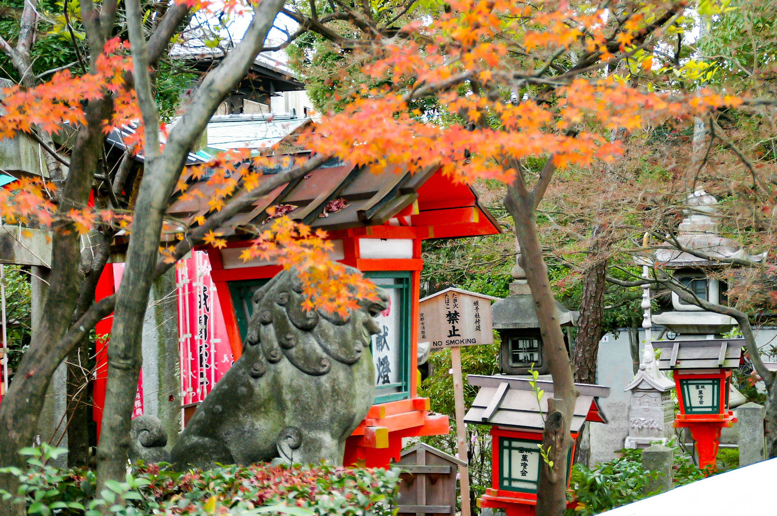 八坂神社付近の紅葉