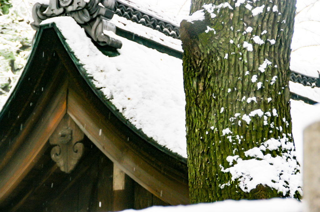 木の幹と屋根に降る雪