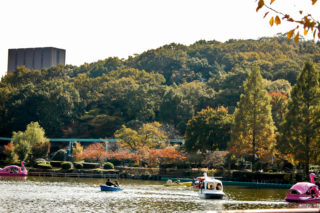 東山動植物園の池