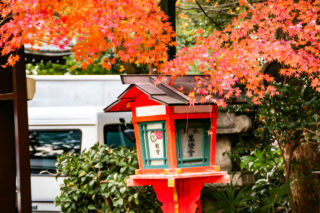 灯篭と紅葉