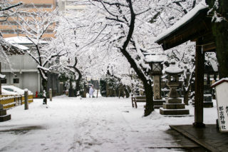 除雪をする人
