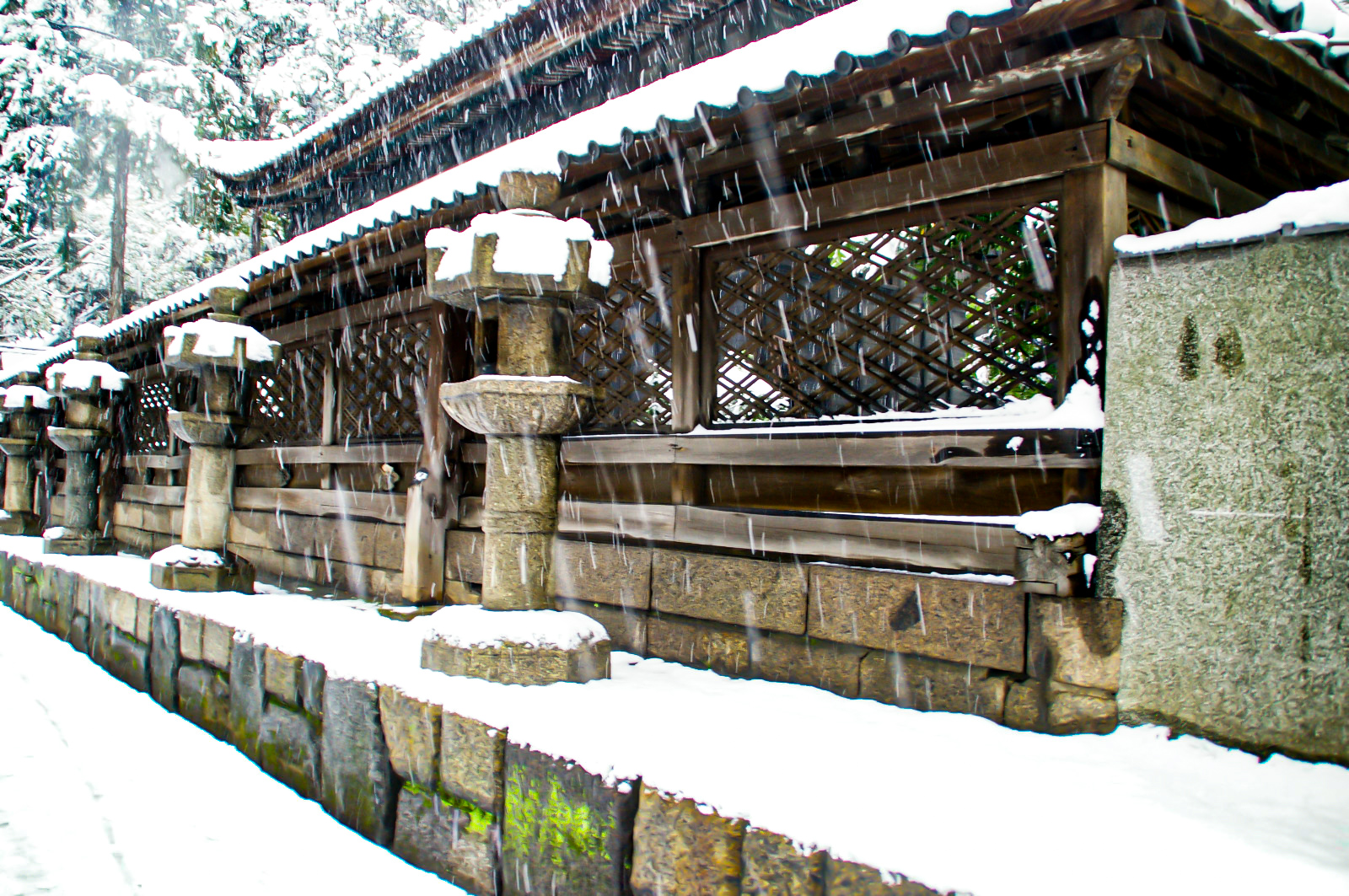 神社の灯篭と屋根に積もる雪
