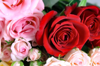 薔薇の花束