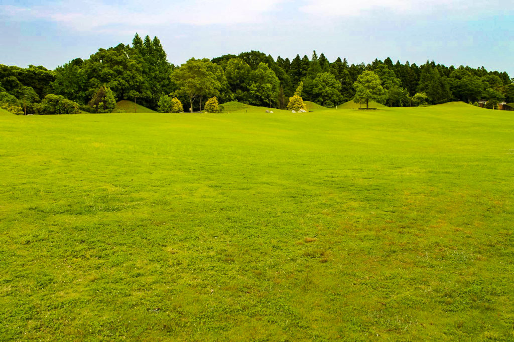 公園の芝生と雑草 無料画像 フリー写真素材 Activephotostyle