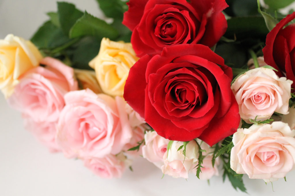 薔薇の花束2 – 無料画像・フリー写真素材｜ActivePhotoStyle