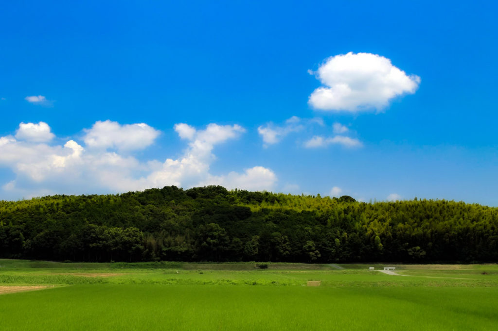 ハート型の雲と稲の絨毯 じゅうたん 無料画像 フリー写真素材 Activephotostyle
