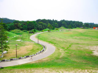 丘から見下ろした公園の写真