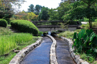木曽三川公園内の小川の写真