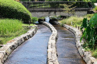 木曽三川公園内の小川